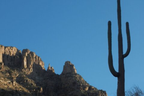 Pusch Ridge Wilderness: Finger Rock from steep old trail