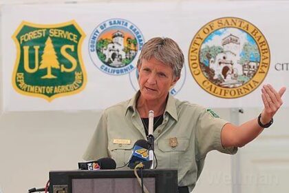 2008: TV Ranger, Gap Fire