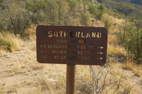 Day1: Historic sign marks trail junctions