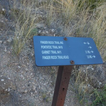 New sign for Pontatoc Trail junction