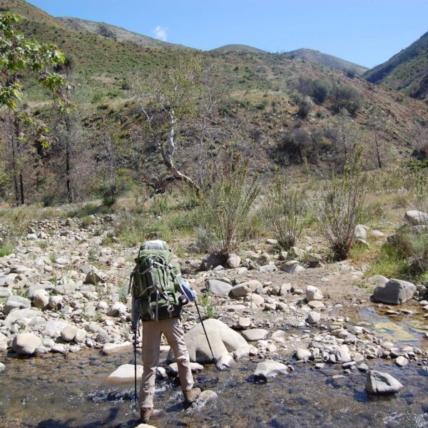 2009: Upper Manzana Creek, 2 yrs after fire