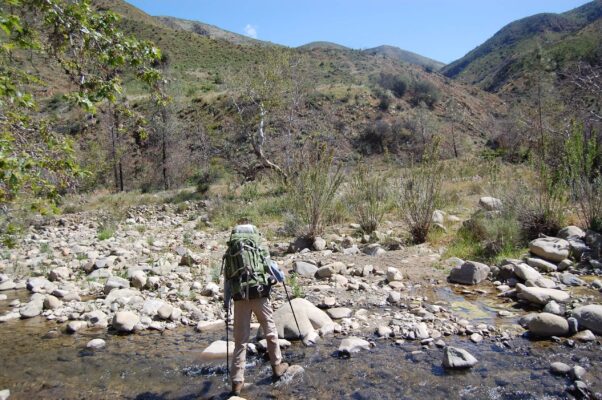 2009: Upper Manzana Creek, 2 yrs after fire