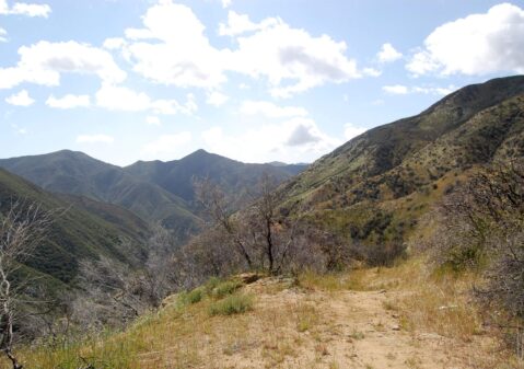 2009: Trails still open 2 yrs after fire