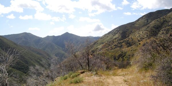 2009: Trails still open 2 yrs after fire