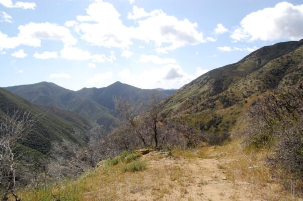 2009: Trails still open 2 yrs after fire