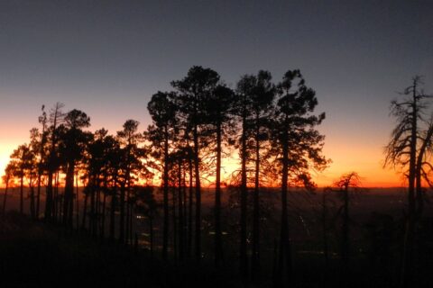 Day1: Sunset at Mt. Lemmon above Summerhaven, Tucson lights below