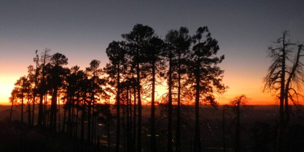 Day1: Sunset at Mt. Lemmon above Summerhaven, Tucson lights below