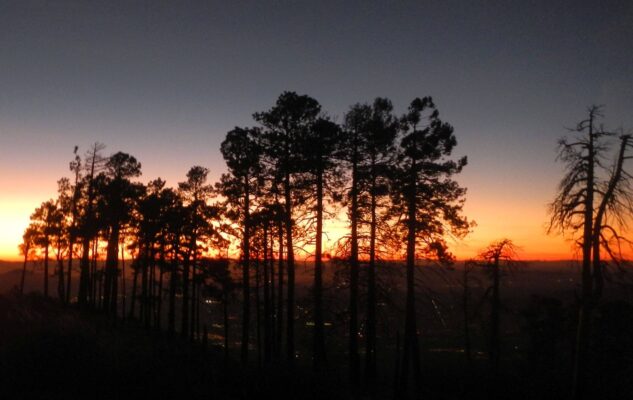 Day1: Sunset at Mt. Lemmon above Summerhaven, Tucson lights below