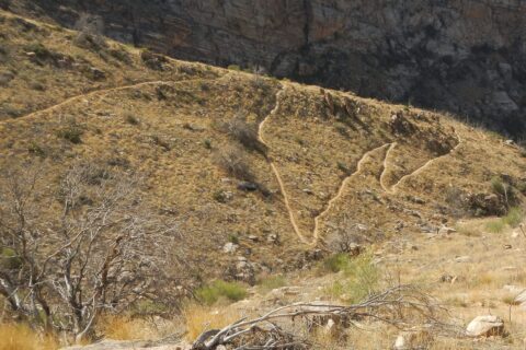 Lovely new Pontatoc Trail winding down