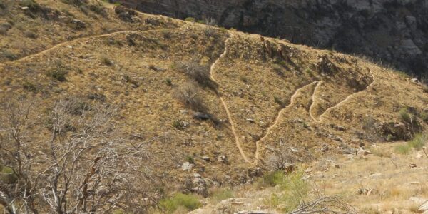 Lovely new Pontatoc Trail winding down