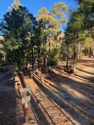 Day3: AZT & Mint Springs junction