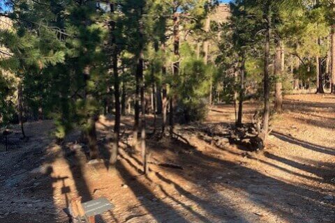 Day3: AZT & Mint Springs junction