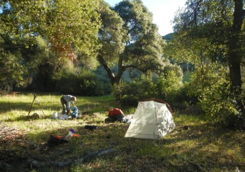 2026: Stunning Kellogg Camp