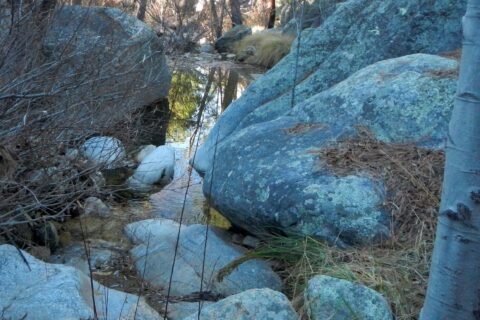 Day3: Lemmon Creek running well