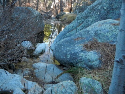 Day3: Lemmon Creek running well