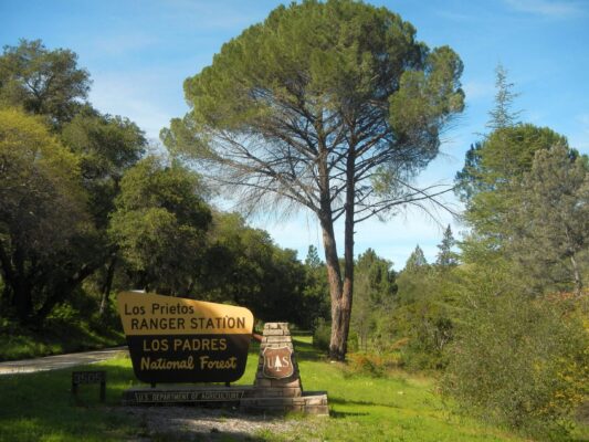 2026: Mediterranean stone planted pine around station
