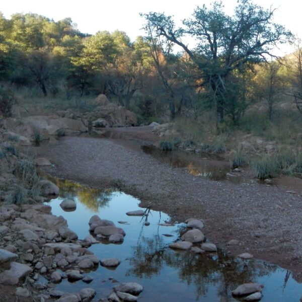 Day2: Intermittent stream pools below Parker Canyon Lake