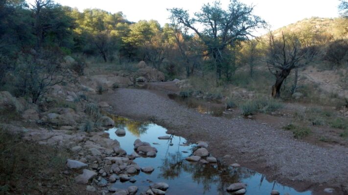 Day2: Intermittent stream pools below Parker Canyon Lake
