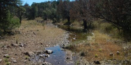 Day3: Middle Canyon running
