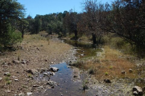 Day3: Middle Canyon running