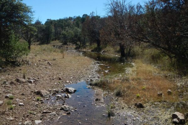 Day3: Middle Canyon running