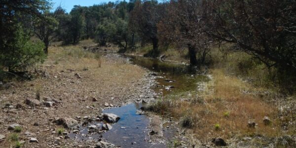Day3: Middle Canyon running