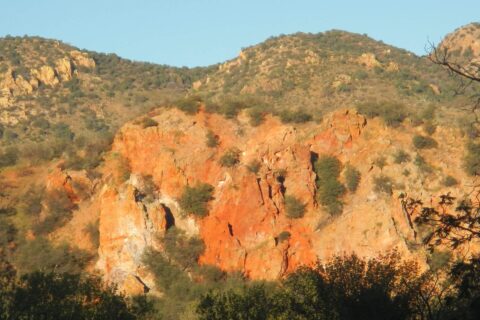 Day4: Red Rock Canyon