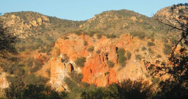 Day4: Red Rock Canyon
