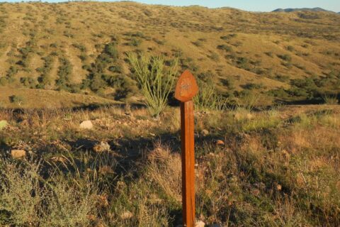 Day5: Open desert hills