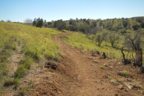 Day7: New trail reroute
