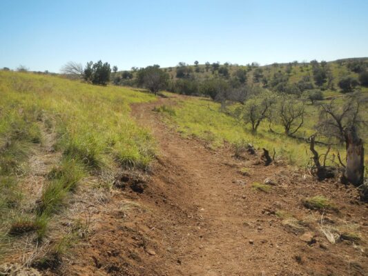 Day7: New trail reroute