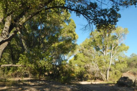 Day9: Davidson Canyon