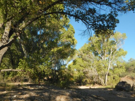 Day9: Davidson Canyon