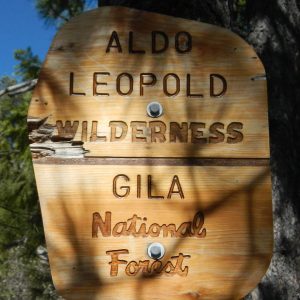 Aldo Leopold Wilderness, sign, April