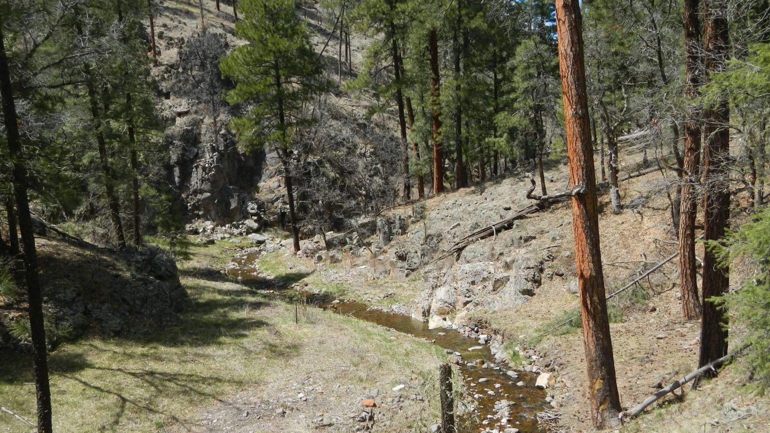 Aldo Leopold Wilderness, Aspen Canyon, April