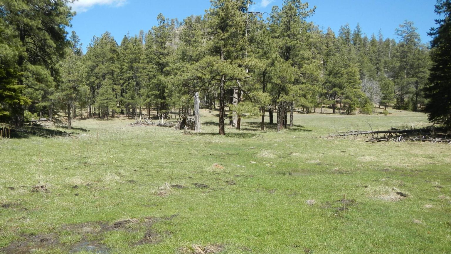 Aldo Leopold Wilderness, Reeds Meadow, April