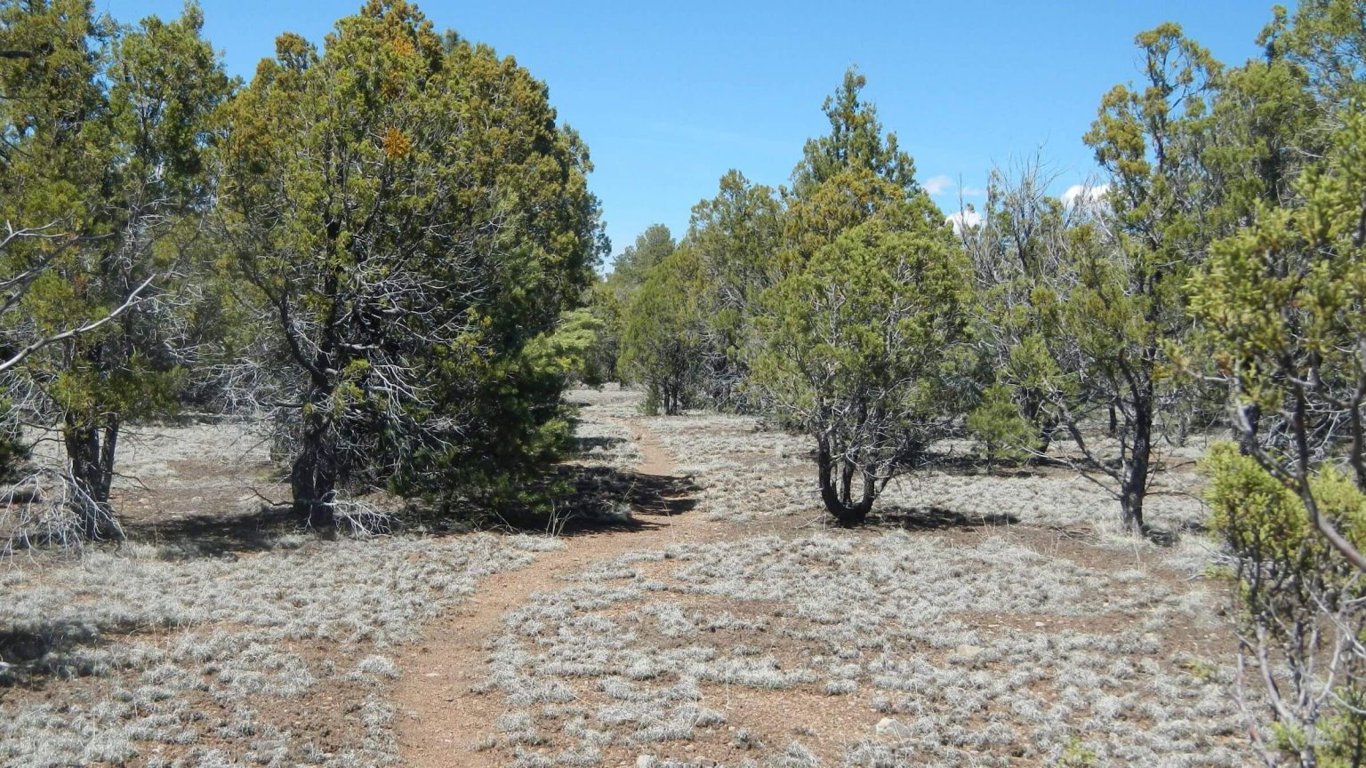 Aldo Leopold Wilderness, Hill Area, April