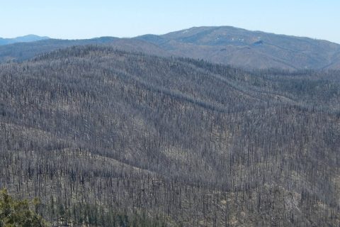 Aldo Leopold Wilderness, 2013 Silver Fire, April