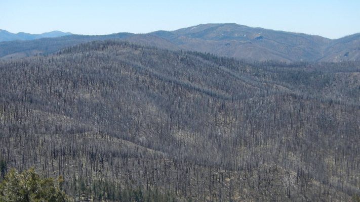 Aldo Leopold Wilderness, 2013 Silver Fire, April