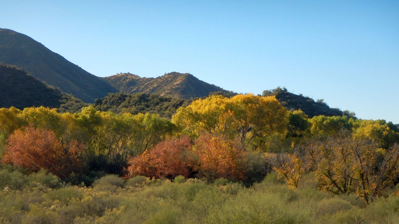 Aravaipa Canyon Wilderness, perennial stream, November