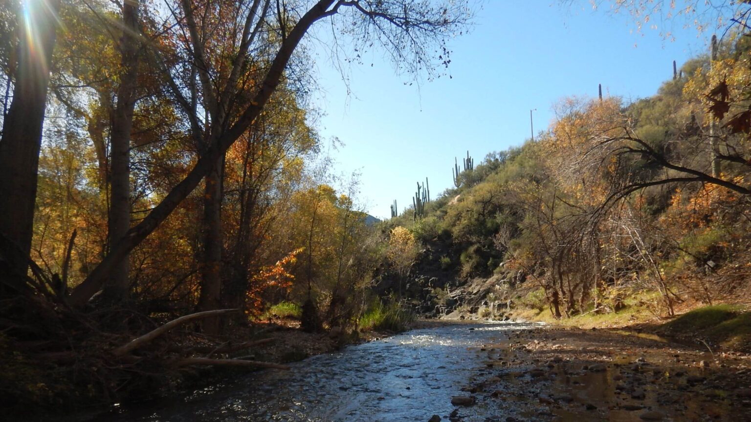 Aravaipa Canyon Wilderness, creek half-foot depth, November