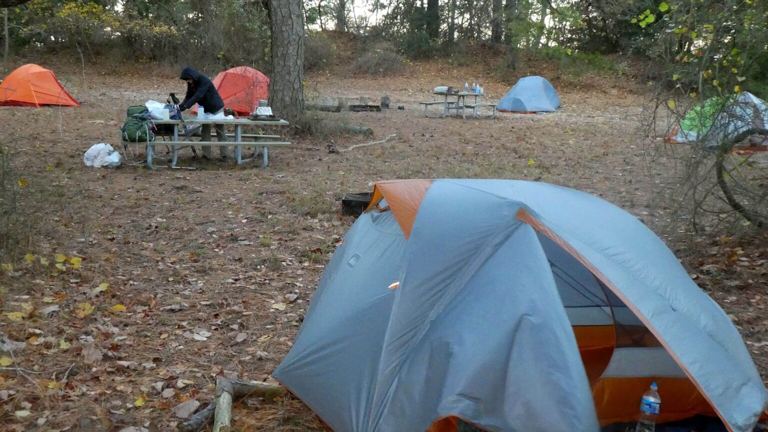 Assateague Island Wilderness Study Area, Green Run, November