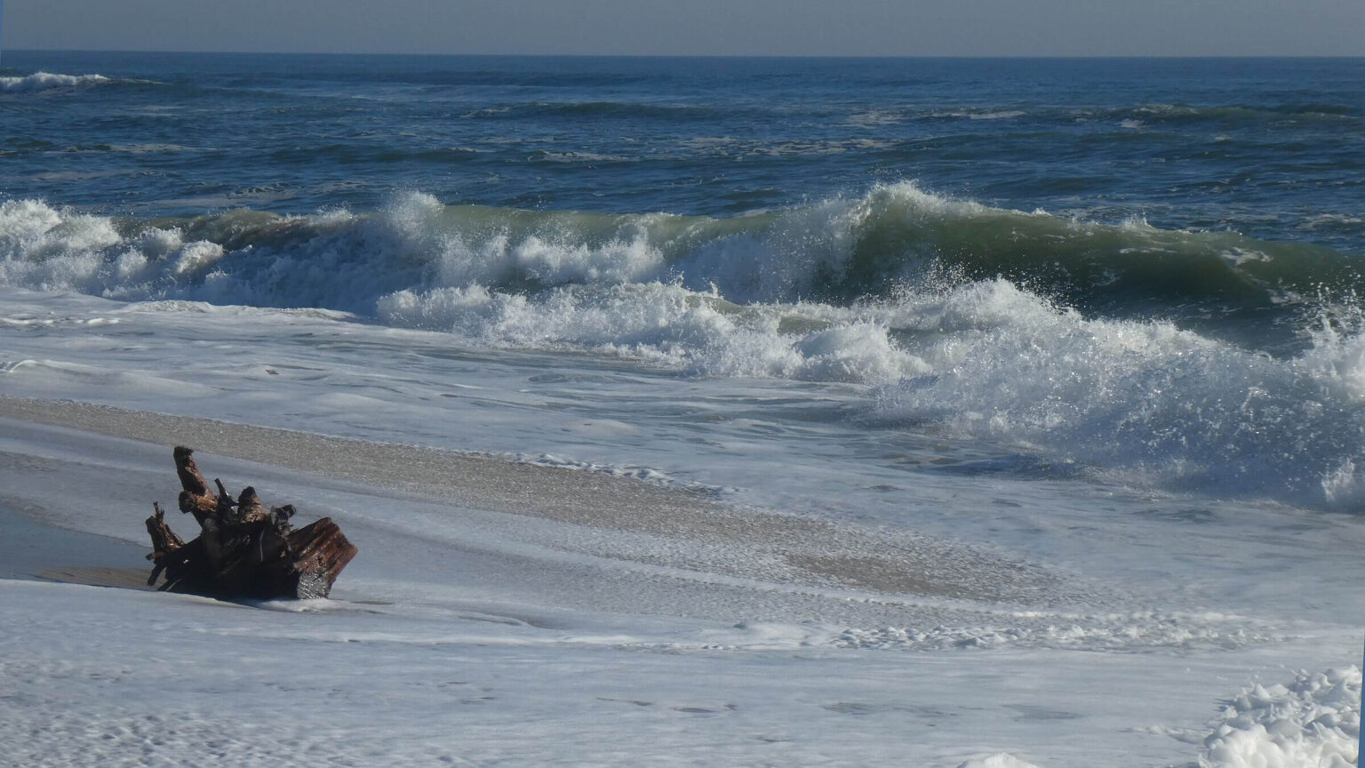 Assateague Island Wilderness Study Area, Atlantic Ocean, November