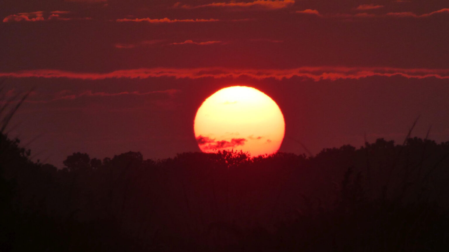 Assateague Island Wilderness Study Area, sunset, November