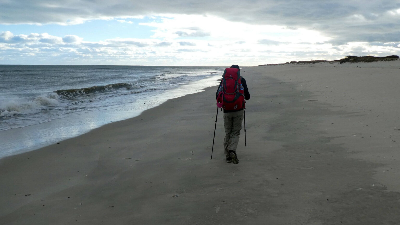 Assateague Island Wilderness Study Area, Virginia beach, November