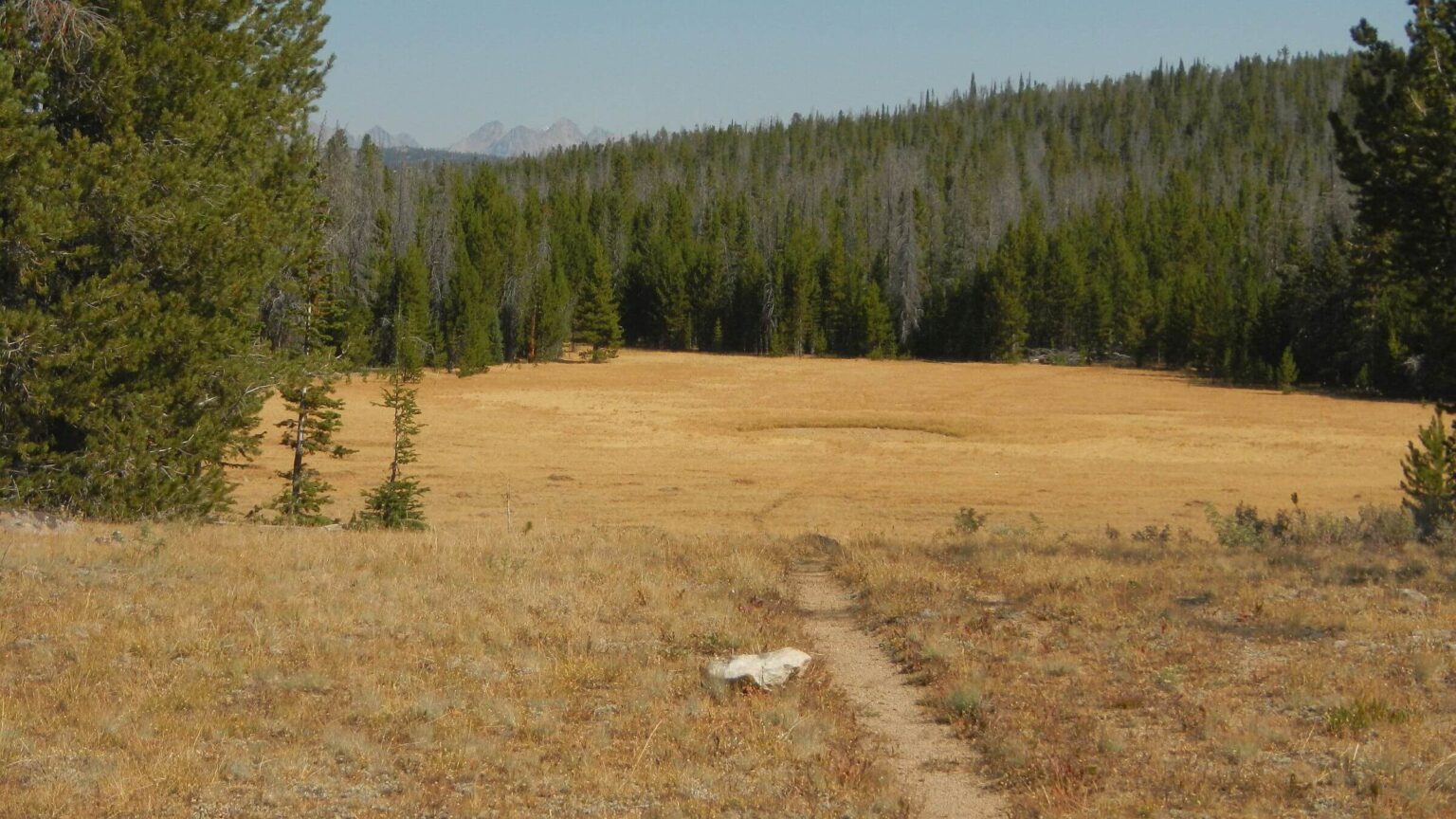 Bridger Wilderness, western wilderness edge, September 2025