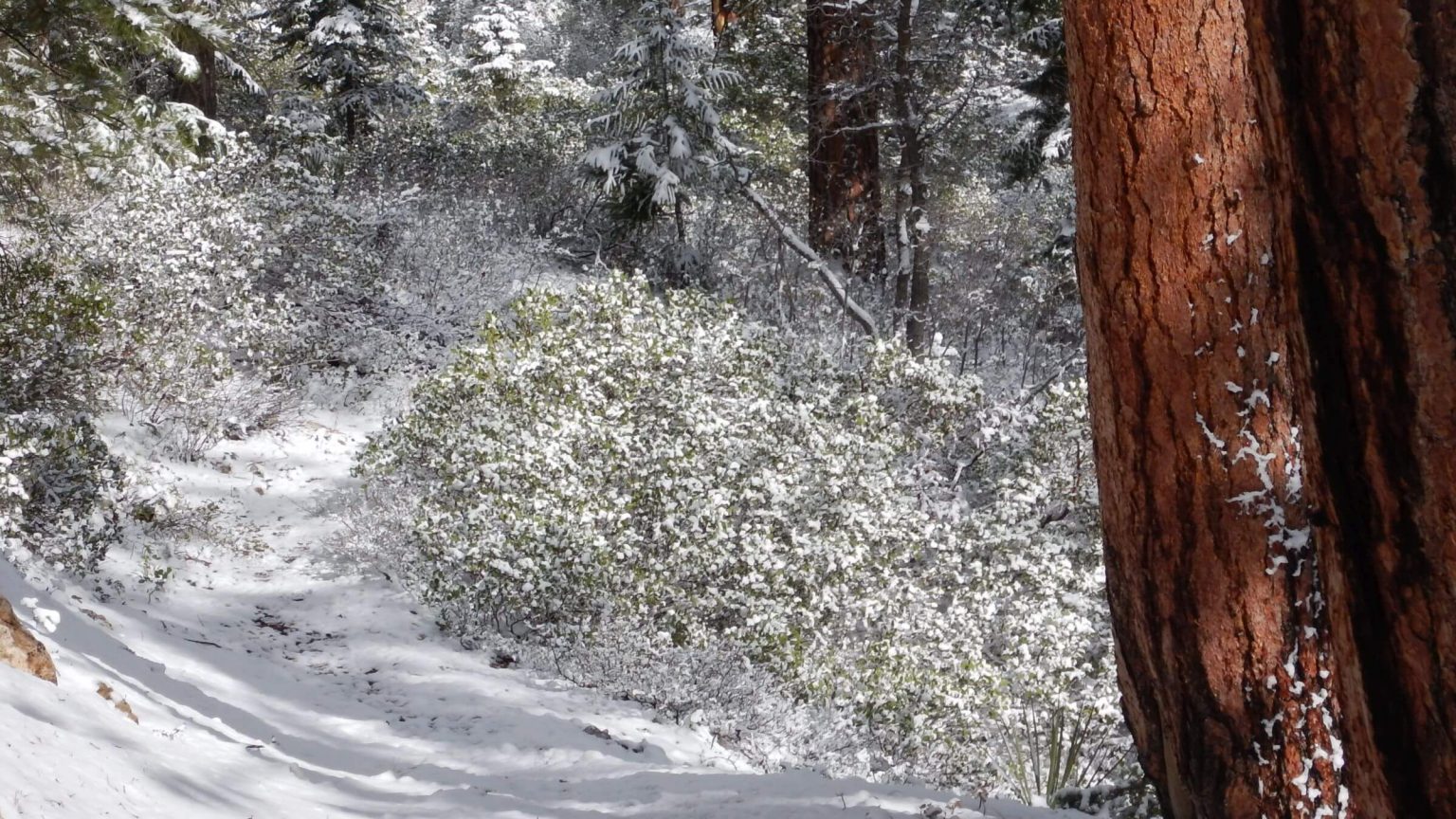 Bryce Canyon Backcountry, spring snow storm, May