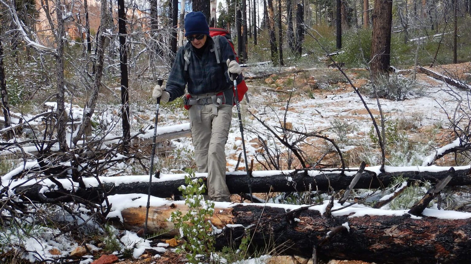 Bryce Canyon Backcountry, 2009 Bridge Fire, May