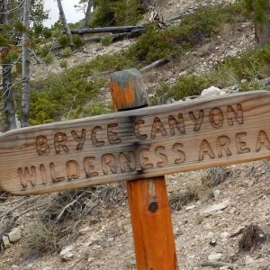 Bryce Canyon Backcountry, wrongly called wilderness, May