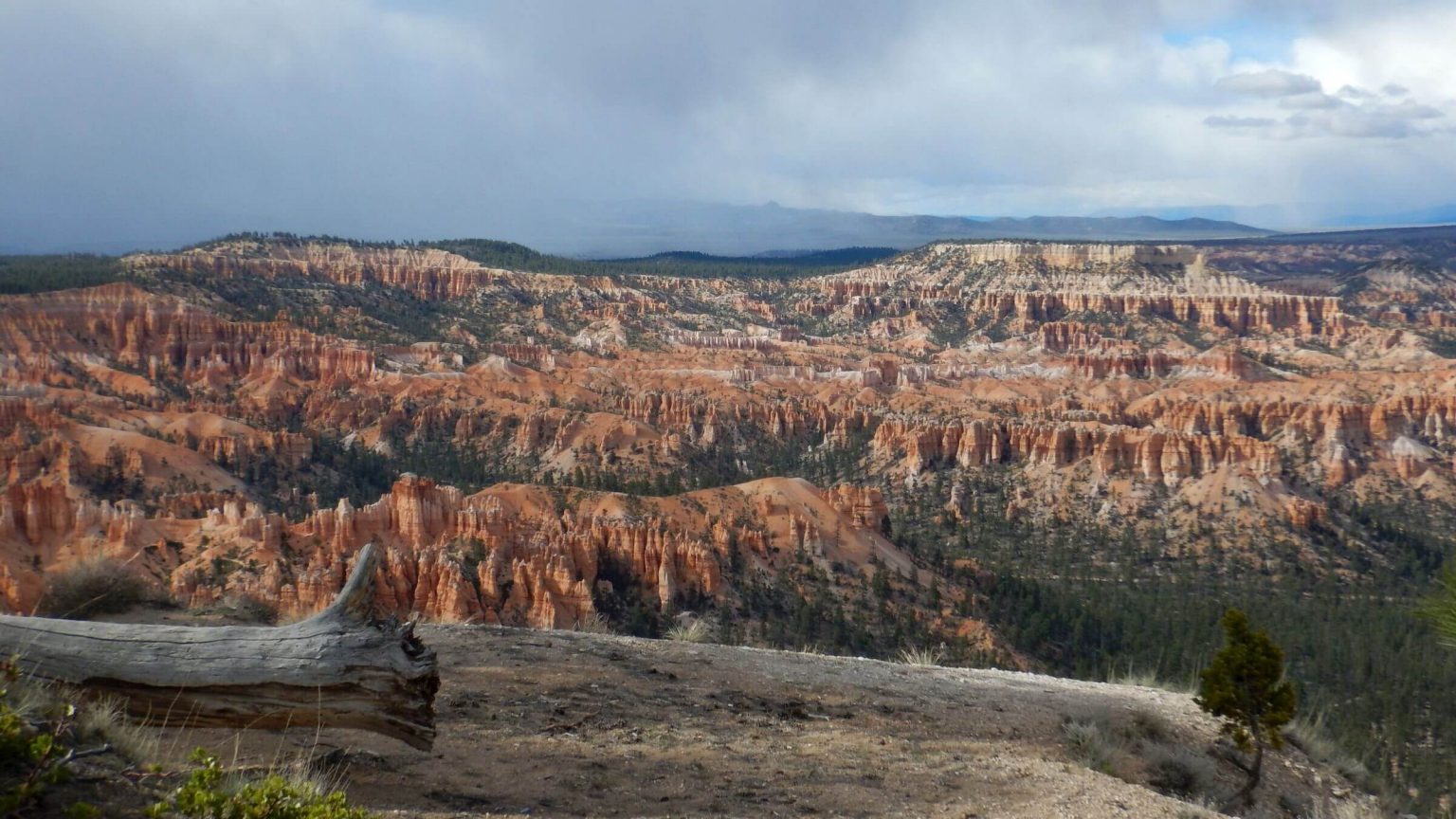 Bryce Canyon Backcountry, view north from Bryce Point, May